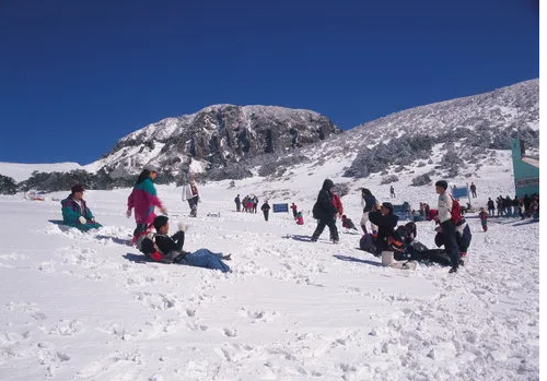 겨울 제주도 여행