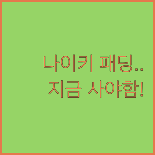 나이키 써마핏 숏패딩 윈드러너 포함 ..