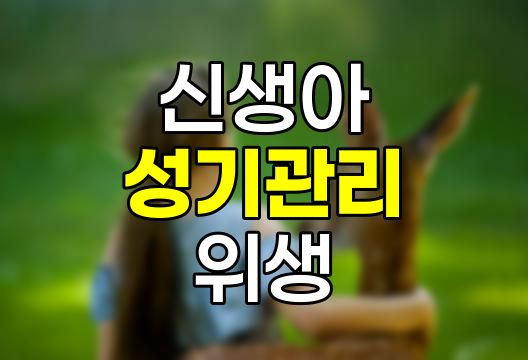 신생아 성기 관리 요령, 남아, 여아별 세척 및 관리 방법