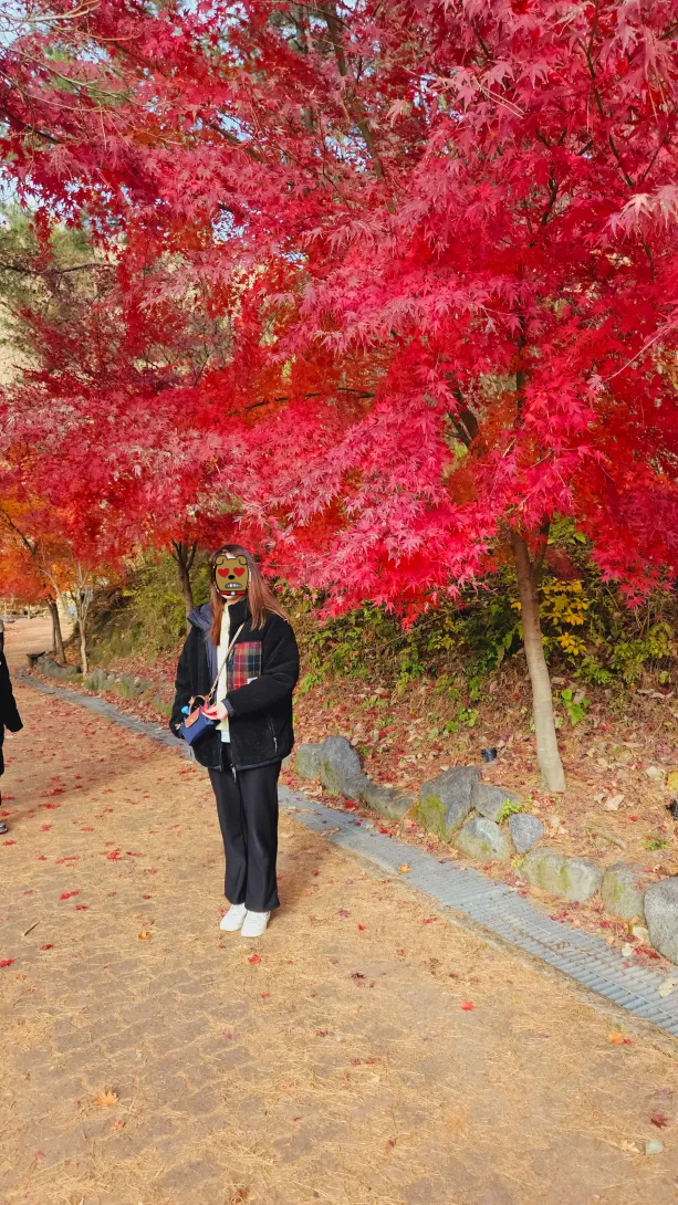 함안 입곡 군립공원