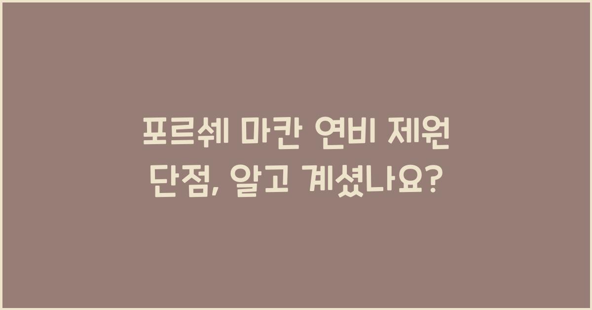 포르쉐 마칸 연비 제원 단점