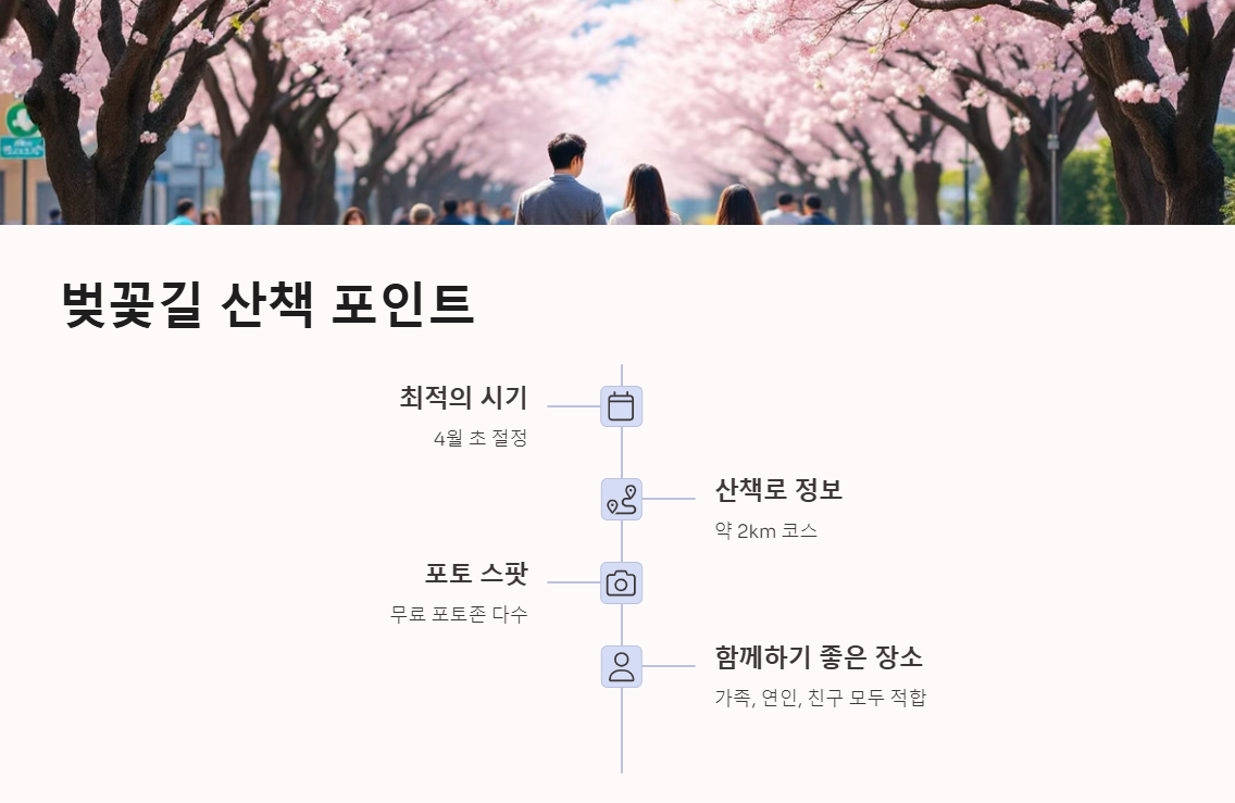 광안리 남천동 벚꽃거리 주차 맛집 꿀팁 총정리