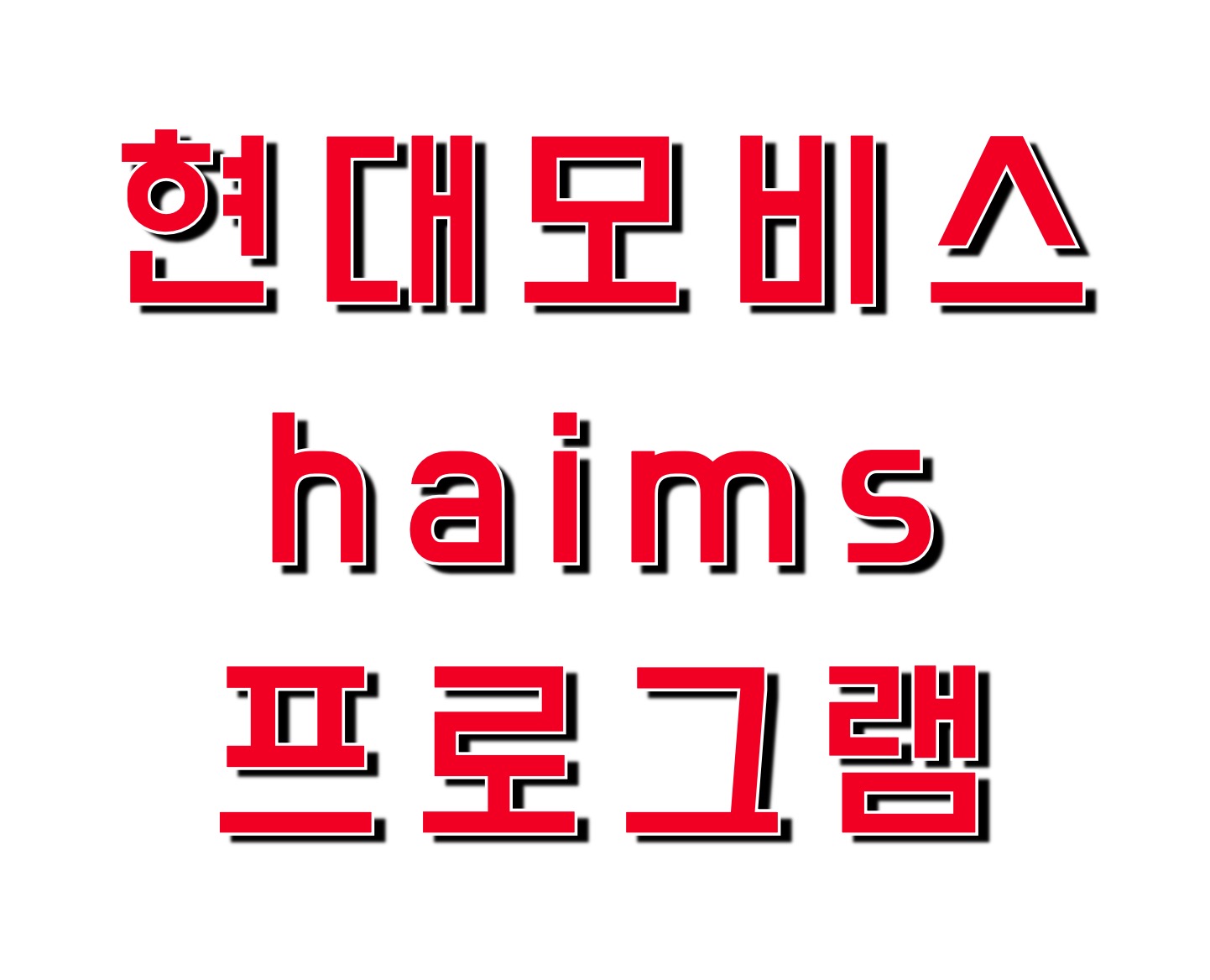 현대모비스 하임즈프로그램 (https://www.haims.co.kr)