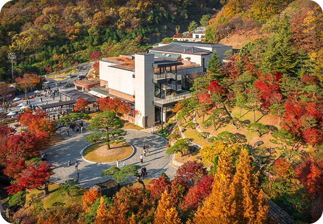 화담숲 단풍 이미지 출처: 화담숲 홈페이지