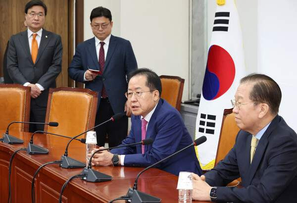 홍준표 대구시장 정치 경력