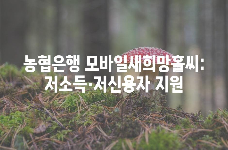 샘플 (42)