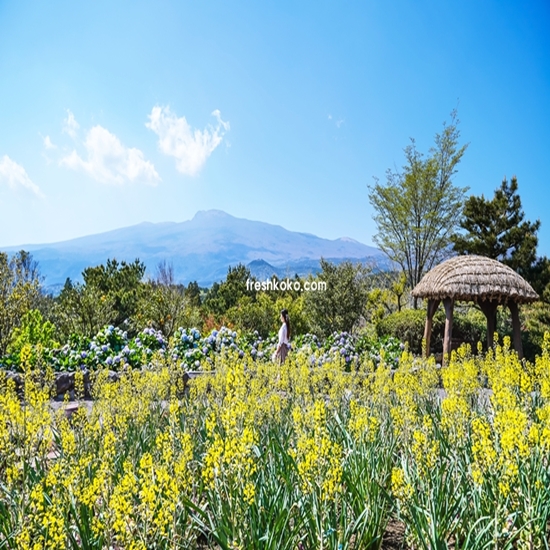 5월 축제 가볼만한 곳