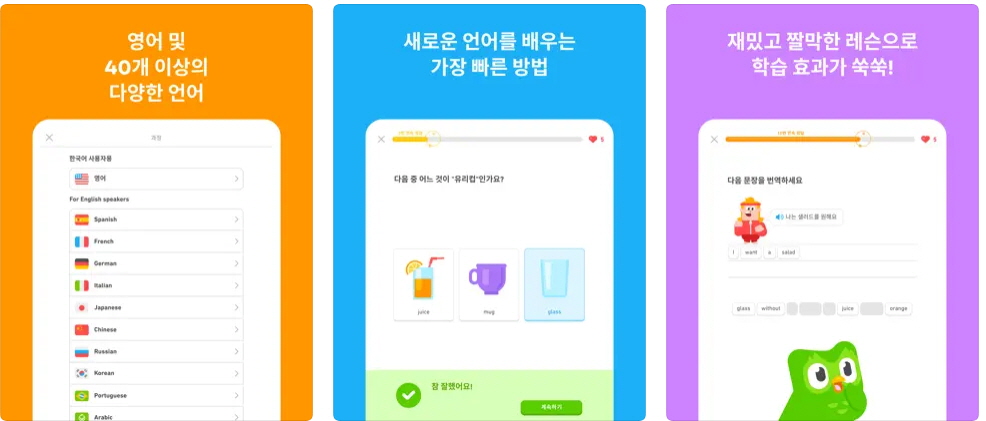 듀오링고 어플
