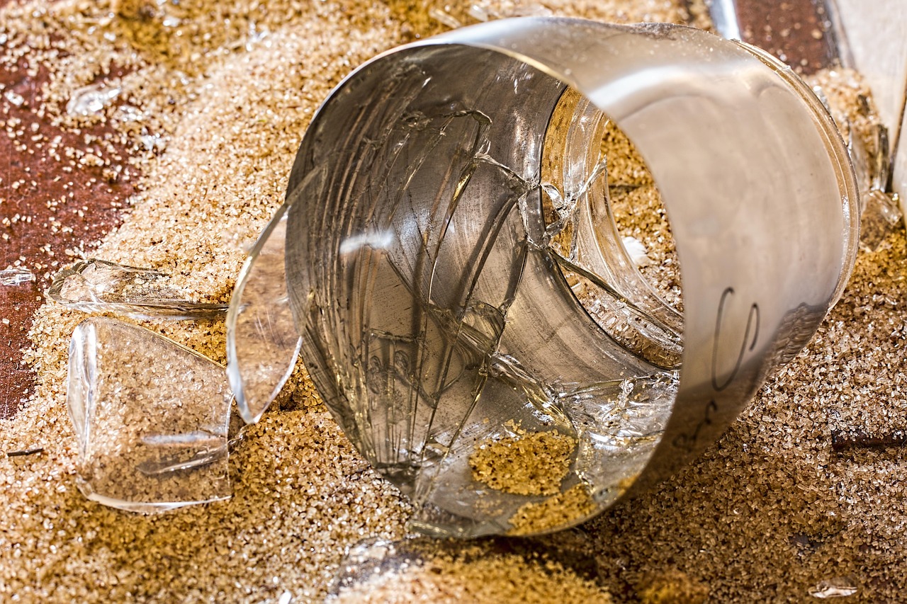 텃밭 초보 실수 매뉴얼 (원인, 대처, 예방)