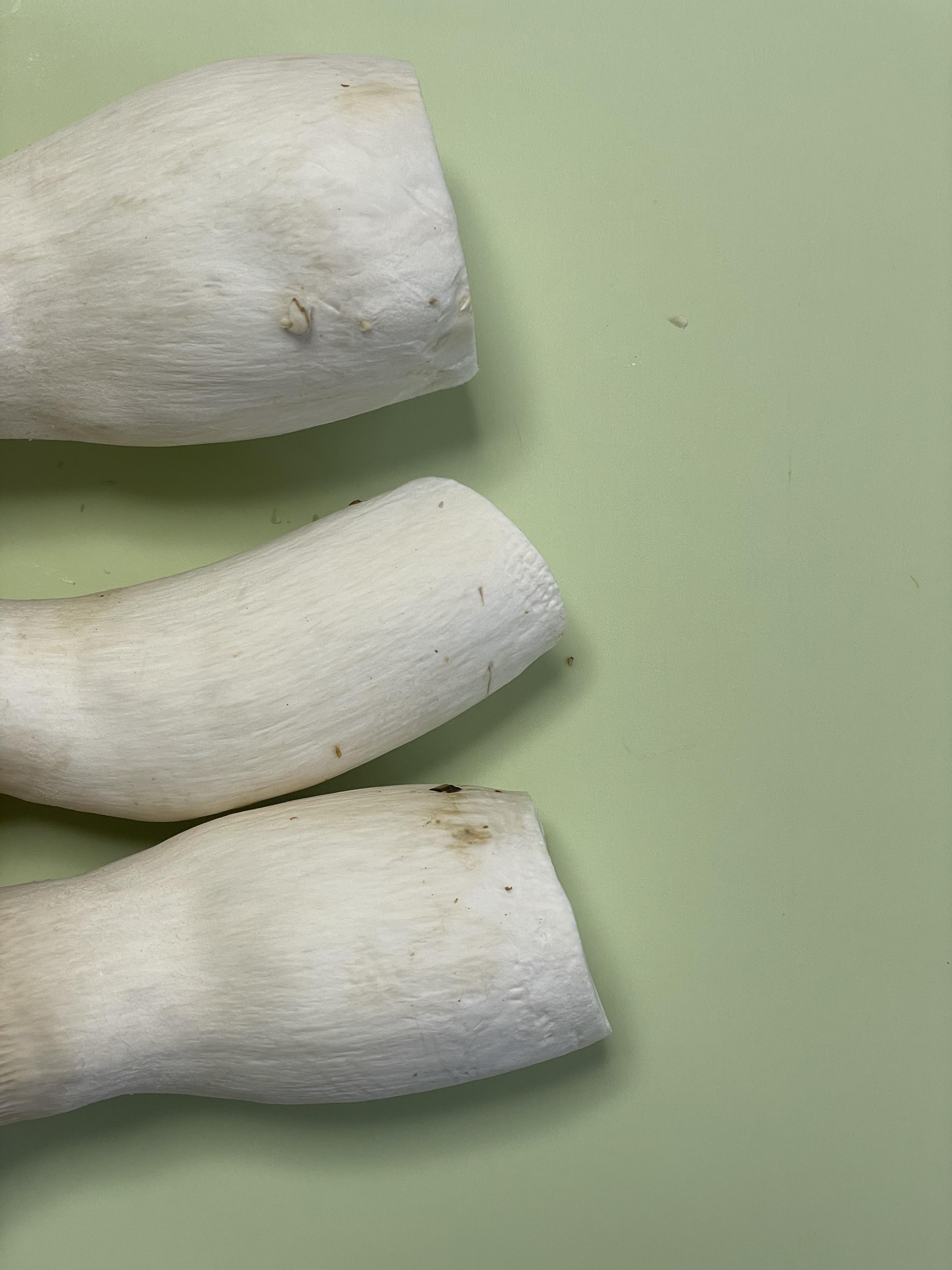 중기이유식 새송이버섯