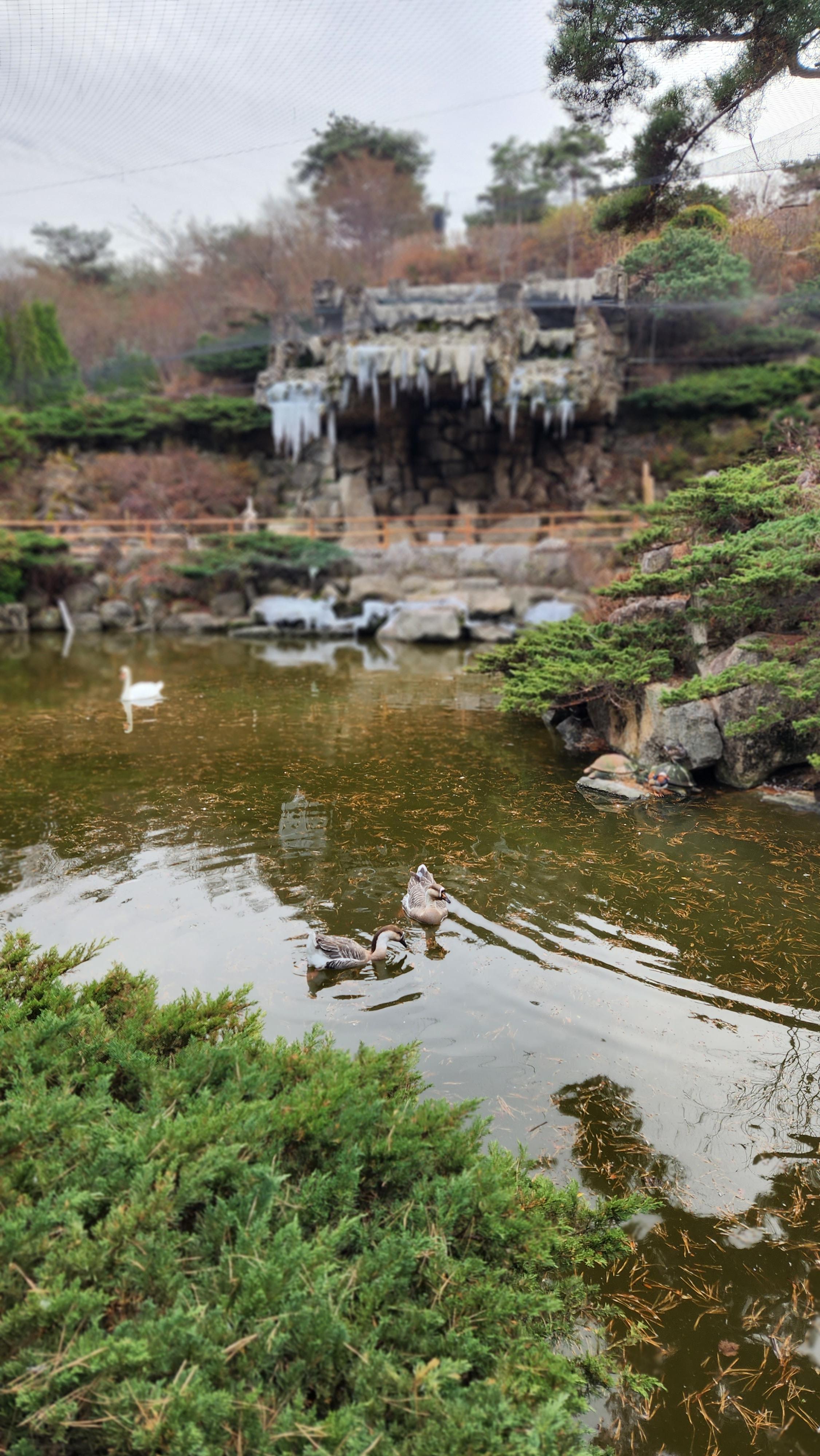 대구-네이처파크