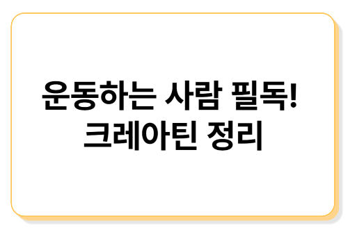 운동하는 사람을 위한 필수 보충제? 크레아틴 효과와 복용법 정리