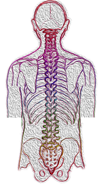 허리디스크 증상 및 자가진단