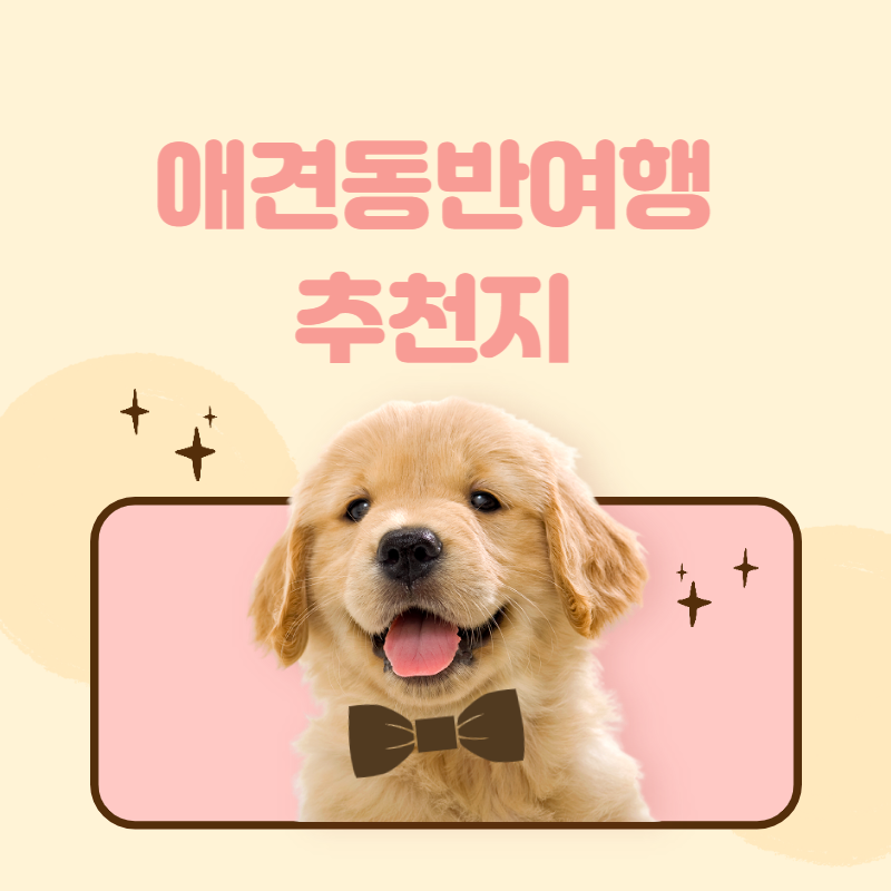 강아지 동반 여행지 추천