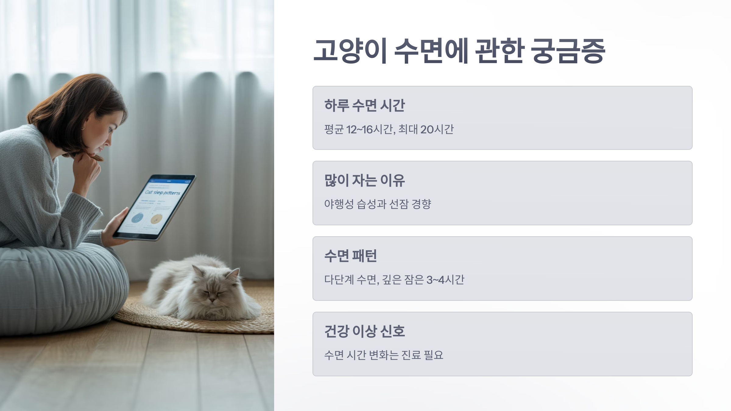 참조-고양이-수면시간-6