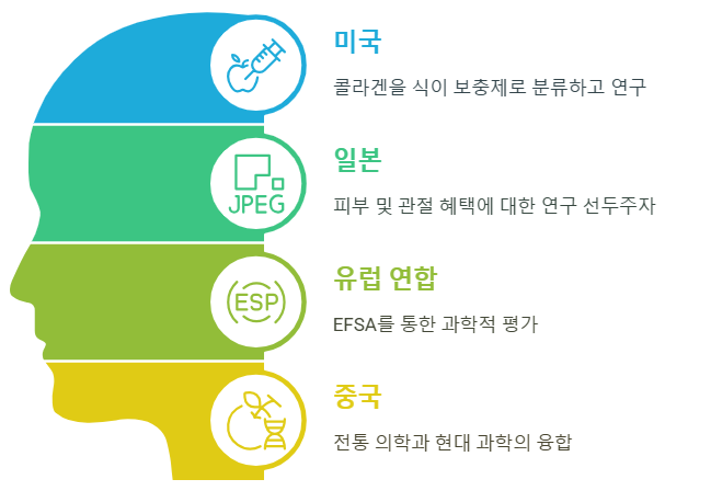 전 세계의 피쉬 콜라겐 연구