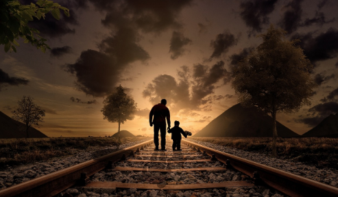 요양보호사 자격증 재발급