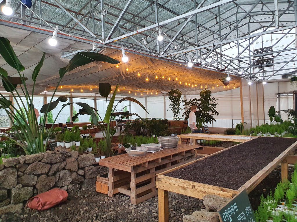 표선 보롬왓 실내 분위기