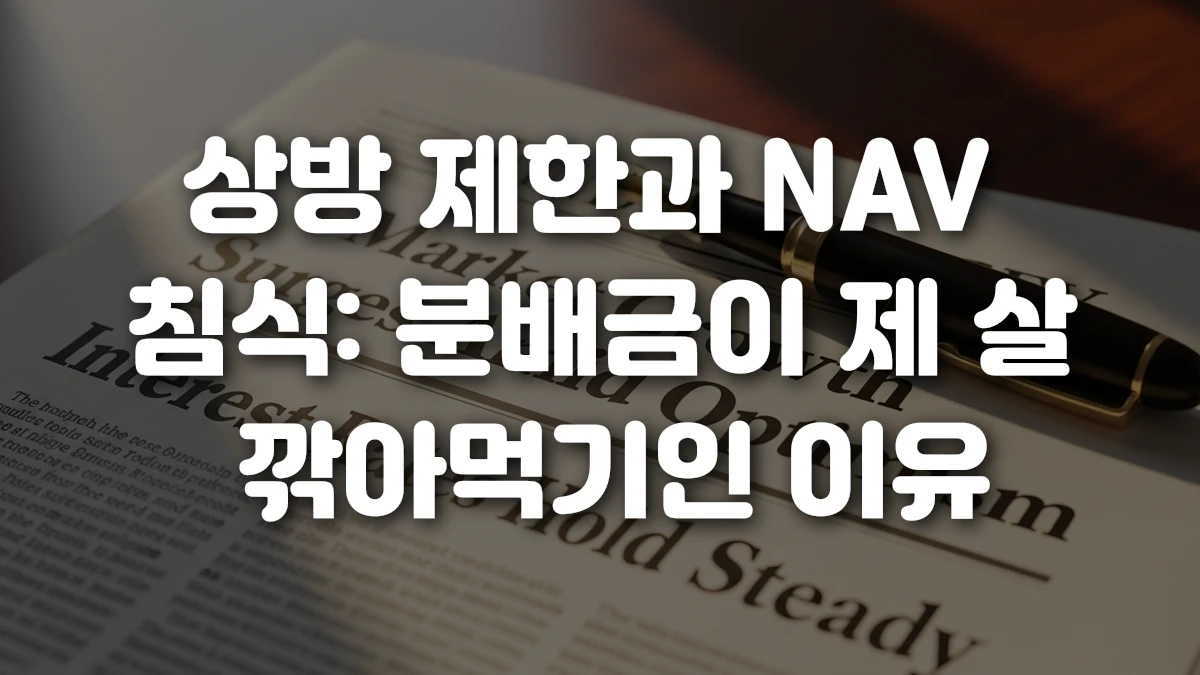 상방 제한과 NAV 침식 분배금이 제 살 깎아먹기인 이유