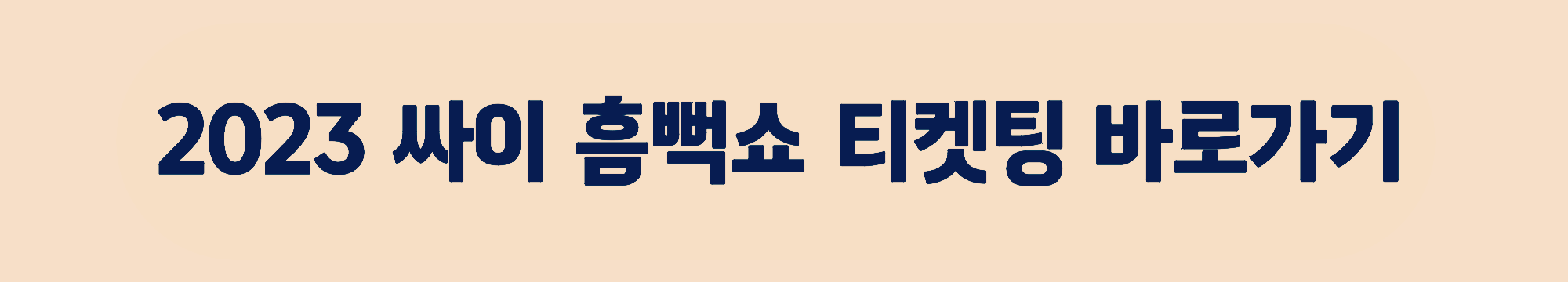 싸이 흠뻑쇼 2023