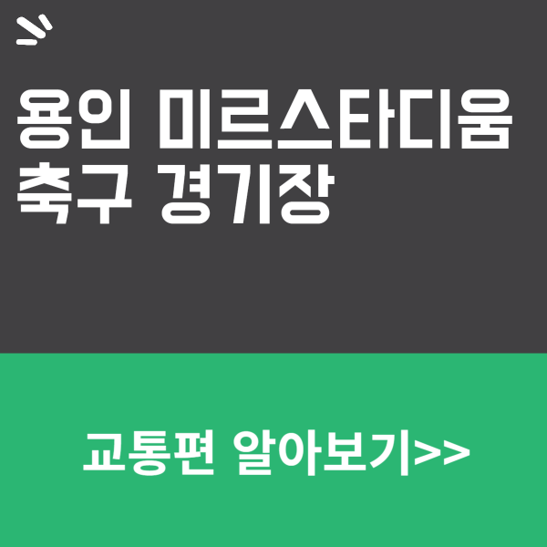 용인 미르스타디움