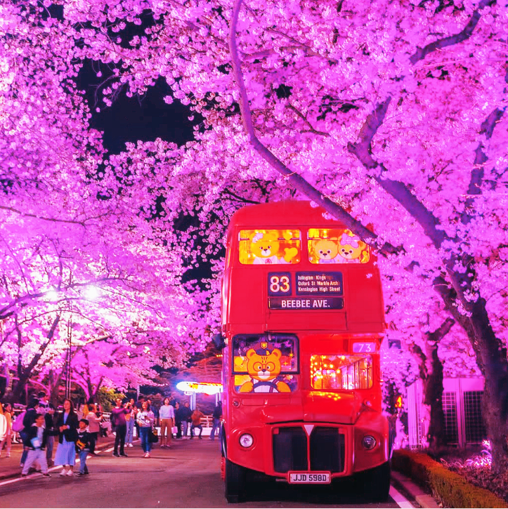 이월드 블라썸 피크닉과 관련된 사진