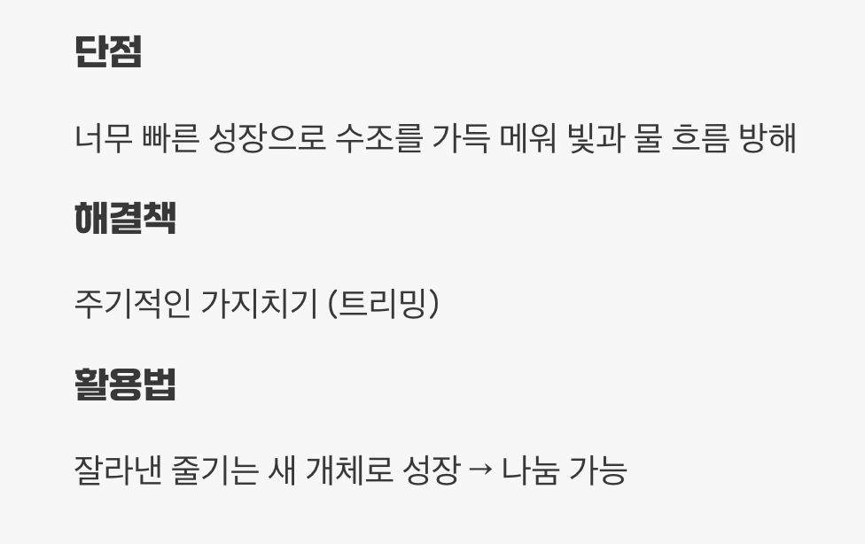 폭풍 성장의 유일한 단점과 관리법