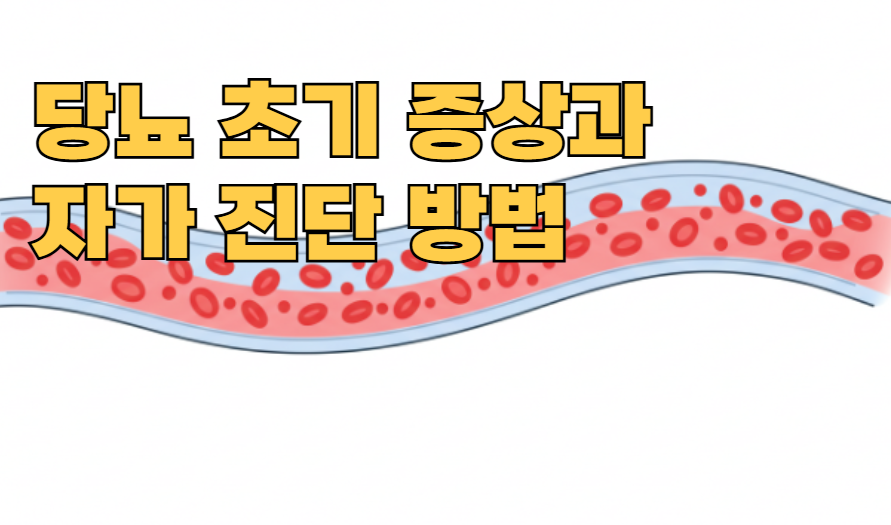 당뇨 초기증상 자가진단 방법