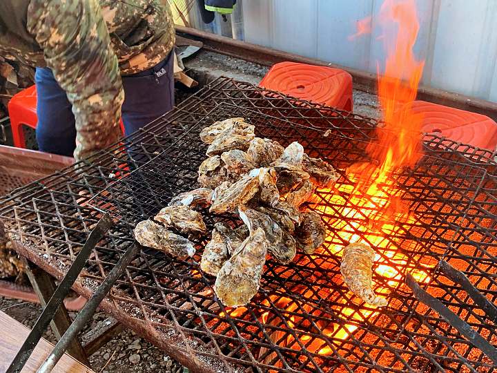 6시내고향 사천 비토섬 장작 굴구이 생굴회 조개구이 따끈따끈한 굴떡국 굴라면 자연산 생굴 전국택배 가능 맛집 오늘 방송 추천