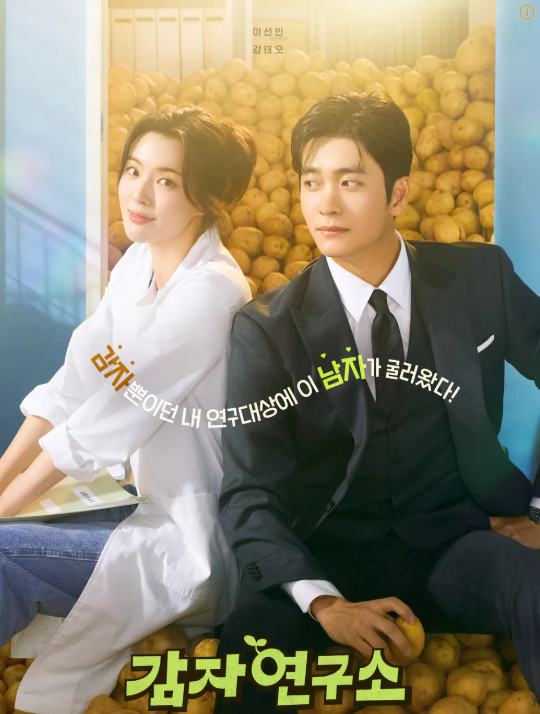 드라마 감자연구소 포스터 사진