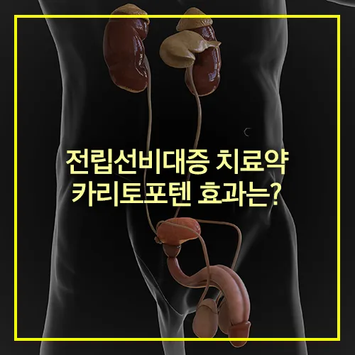 전립선비대증 치료약 카리토포텐 효과