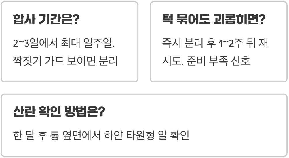 왕사슴벌레 암수 합사, 페어링 성공 꿀팁