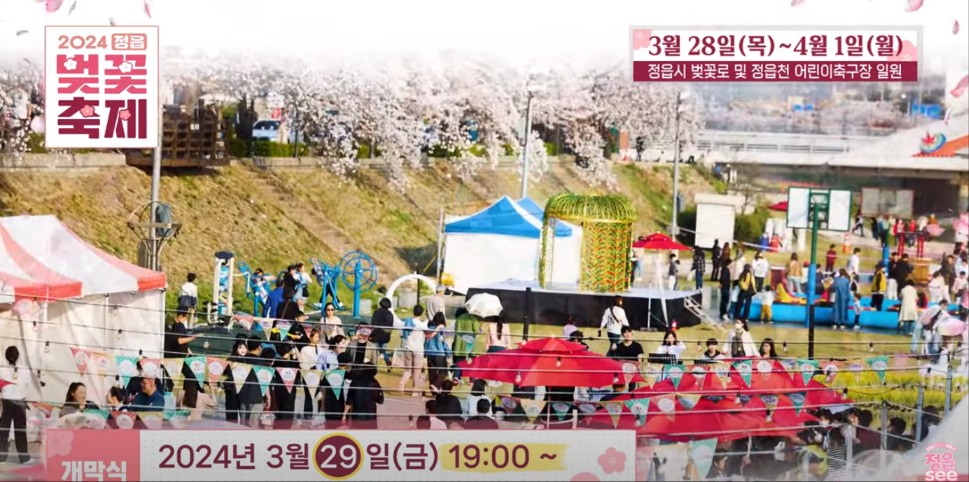 2024 정읍 벚꽃 축제