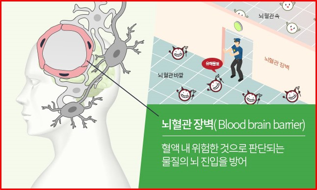 당뇨