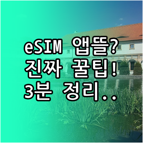 알뜰폰 eSIM 개통 절차와 주의사항..