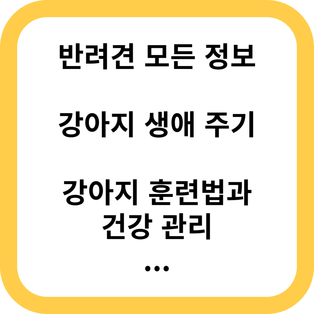 강아지 반려견