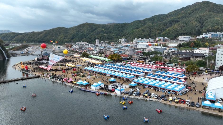 사과향 물씬 풍기는 가을축제 · 청송사과축제 2025 완전정복 관련 사진