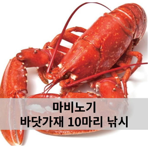 마비노기 바닷가재 10마리 낚시