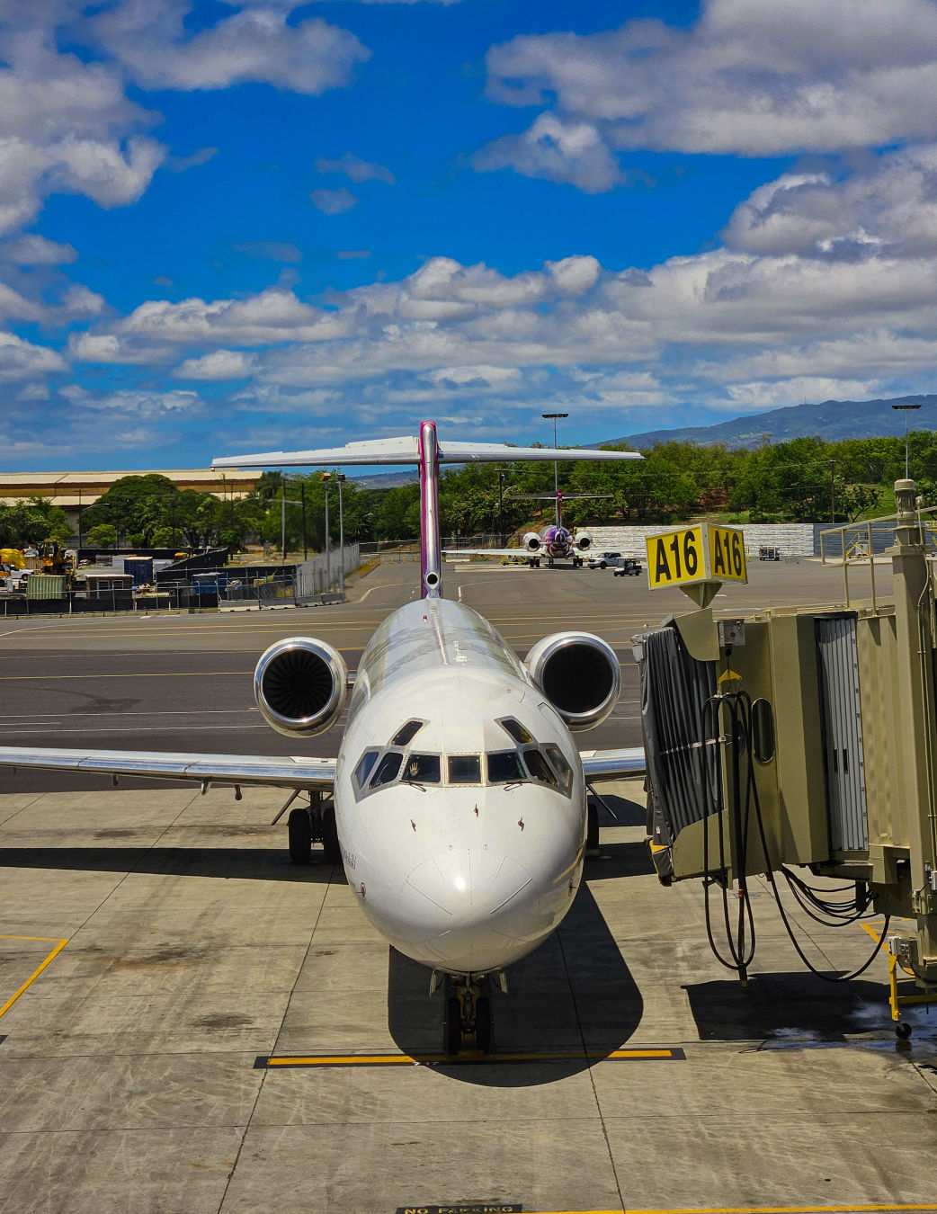 호놀룰루 공항 코나 환승