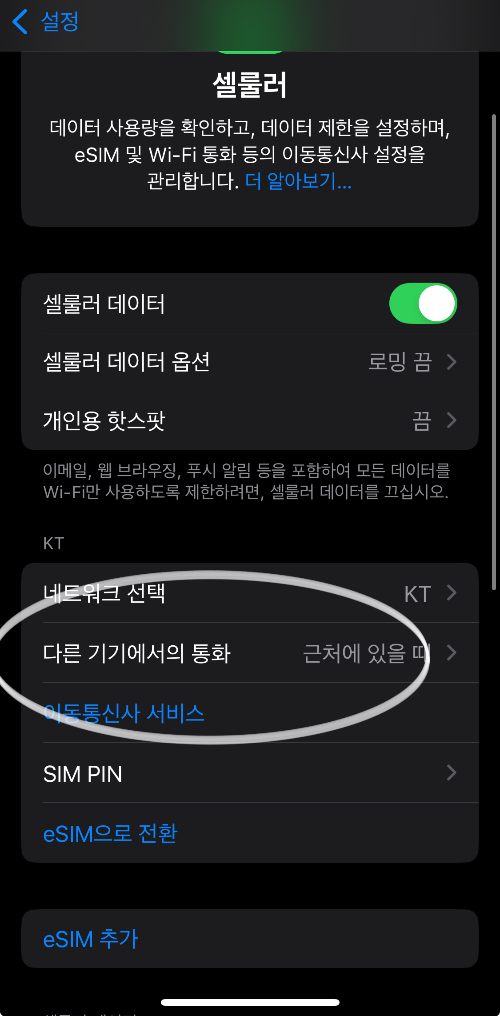 아이폰 전화 설정 다른기기에서의 통화 화면
