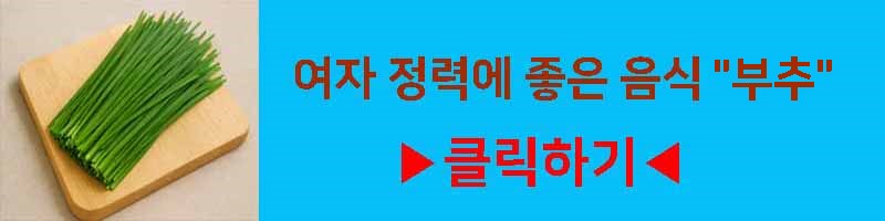 여자 정력에 좋은 음식 부추 영양 효과 섭취 방법 부작용 알아보기