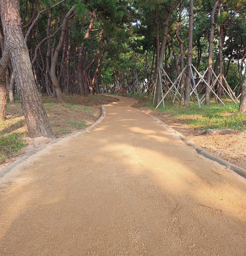 황톳길 vs 일반 산책로 : 맨발 걷기에 더 좋은 곳
