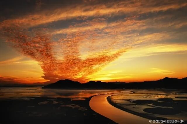 순천만 습지, 사진출처:순천만습지