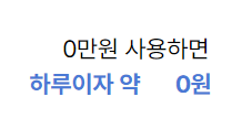 소액대출 100만원