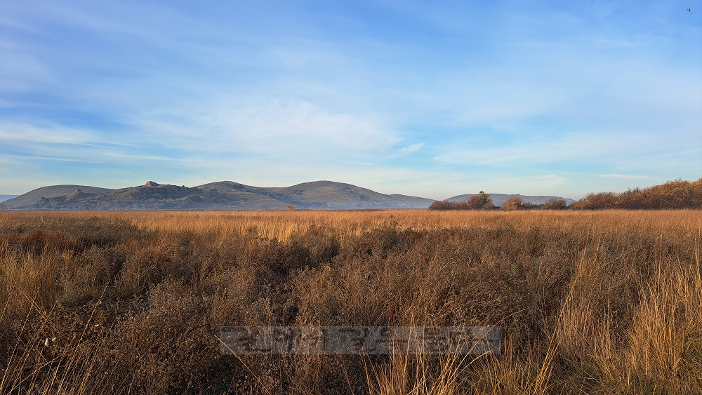 Coyote Hills Regional Park