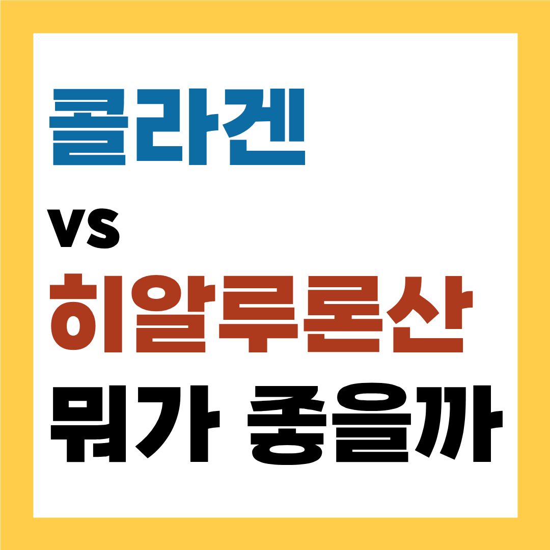 콜라겐 vs 히알루론산