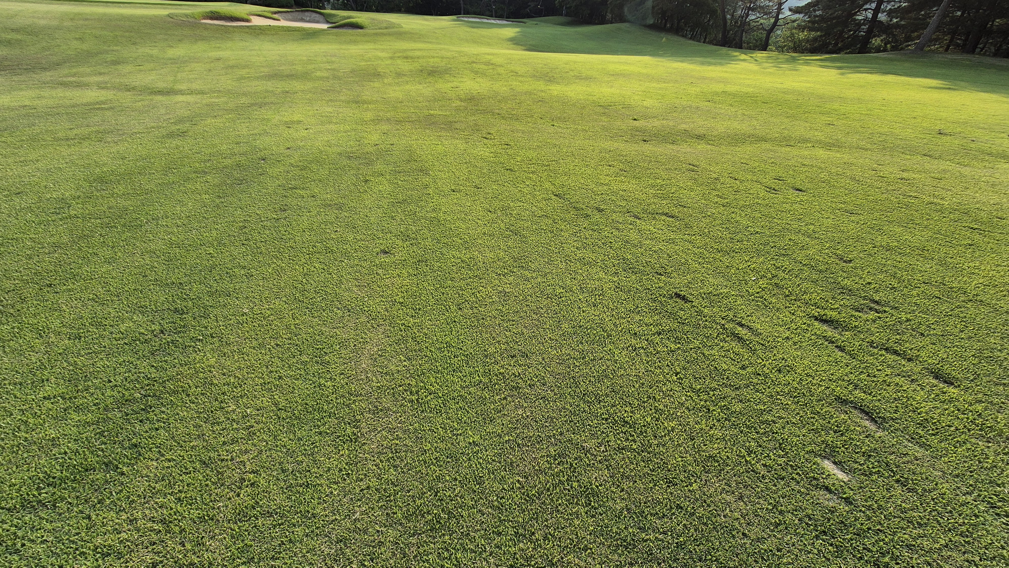 이포cc 라운드 후기