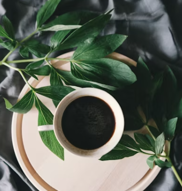 소상공인 중소기업 이자지원 신청