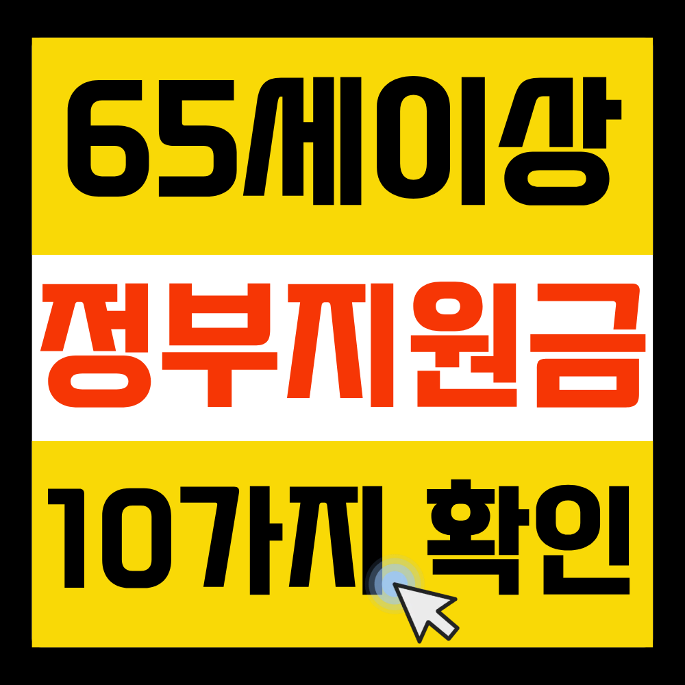 65세이상 정부지원금