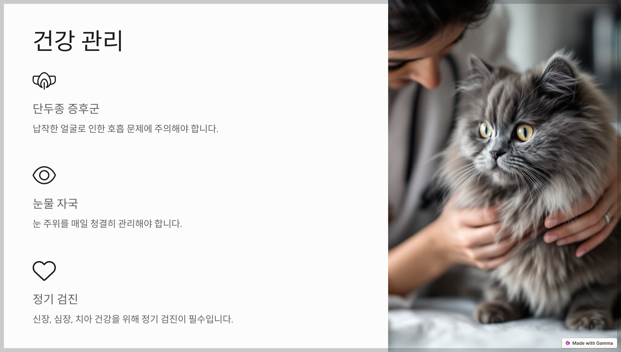 페르시안 친칠라의 건강 문제